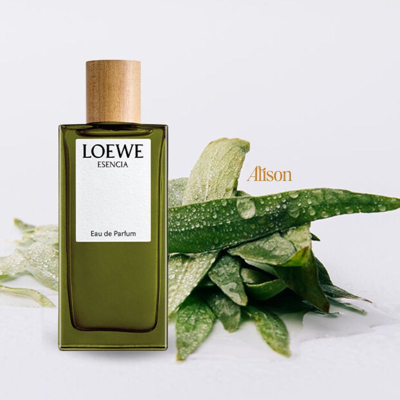 Loewe Esencia EDP